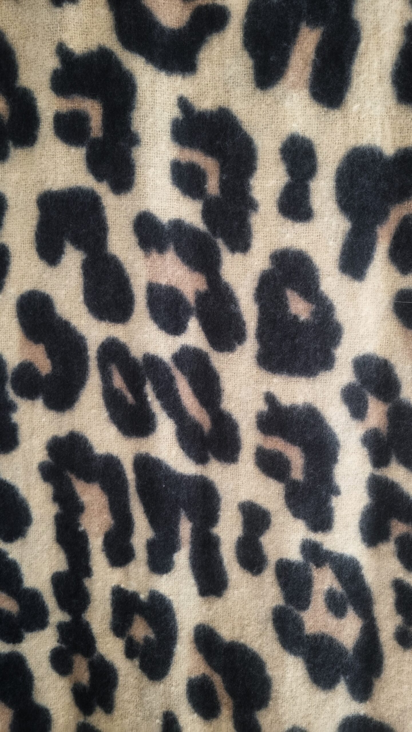 Echarpe Féline beige – Image 5